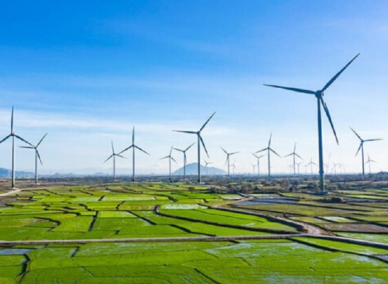 Phát triển điện gió là giải pháp quan trọng đáp ứng nhu cầu sử dụng điện ngày càng tăng trong khi nguồn năng lượng hóa thạch đang suy giảm.