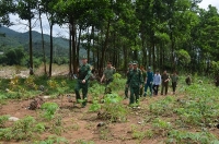 Quảng Ninh: Ngăn chặn và xử lý nhiều vụ buôn lậu