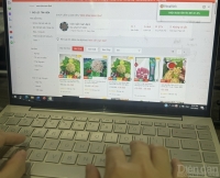 Nam Định: Đưa sản phẩm OCOP lên sàn thương mại điện tử