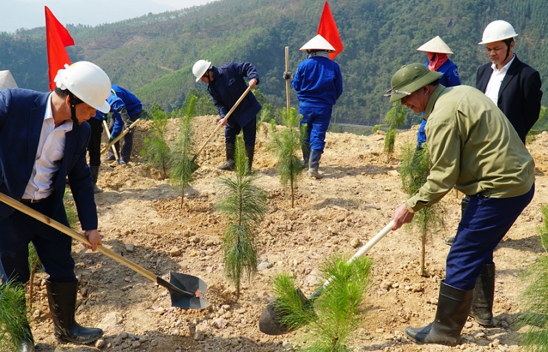 Trồng cây hoàn nguyên môi trường tại Công ty CP Than Vàng Danh (Ảnh: Báo Quảng Ninh)