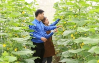 Nam Định: Đồng hành cùng thanh niên vượt khó khởi nghiệp trên mảnh đất quê hương