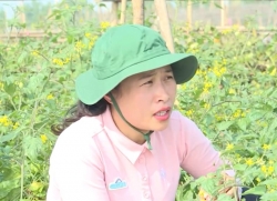 Thái Bình: Doanh nhân trẻ khát vọng khởi nghiệp sáng tạo