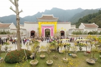 9-17/3: Quảng Ninh tổ chức Lễ hội hoa Anh đào - Mai vàng Yên Tử 2019