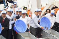 Quảng Ninh: Thả 5,3 triệu con giống thủy sản về biển Tuần Châu