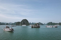 Bão số 2: Quảng Ninh sẽ tạm dừng cấp phép tàu ra biển