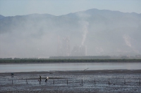 Quảng Ninh: Đề nghị đưa 2 nhà máy xi măng ra khỏi quy hoạch