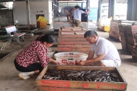 Nam Định: Doanh nghiệp chế biến, xuất khẩu thủy sản lao đao