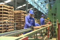 Vượt khủng hoảng COVID-19: Kinh tế Quảng Ninh tăng trưởng đạt 2 con số
