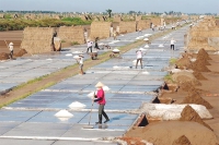 Nam Định: Mặn mòi hạt muối Bạch Long