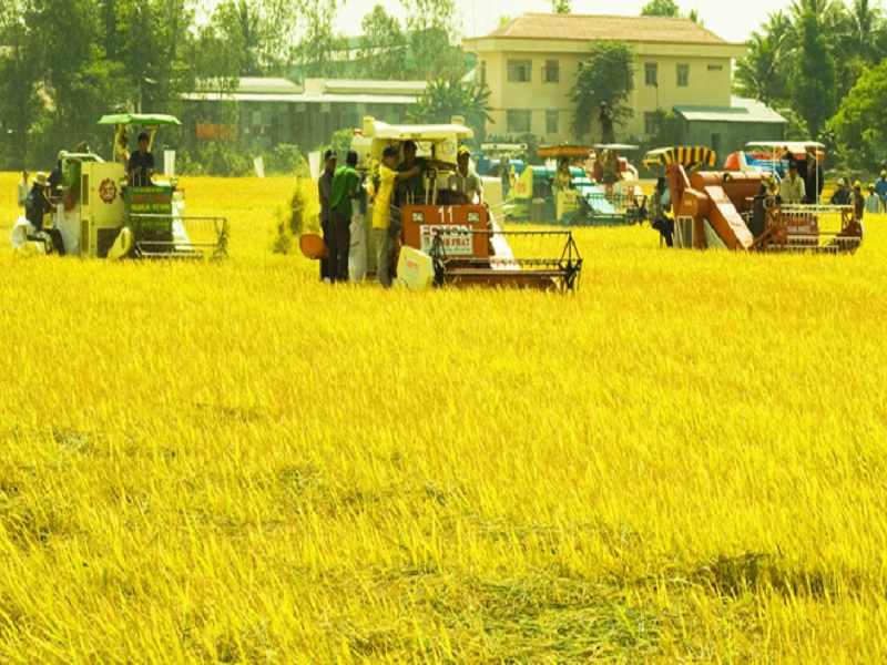 Việt Nam không chỉ đảm bảo an ninh lương thực mà nhanh chóng trở thành quốc gia xuất khẩu gạo lớn trên thế giới. 