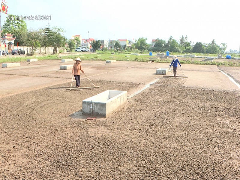 Ruộng muối xã Thuỵ Hải huyện Thái Thuỵ