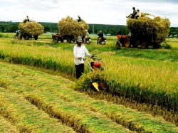 Thái Bình: Nông nghiệp khẳng định là “trụ đỡ” của nền kinh tế