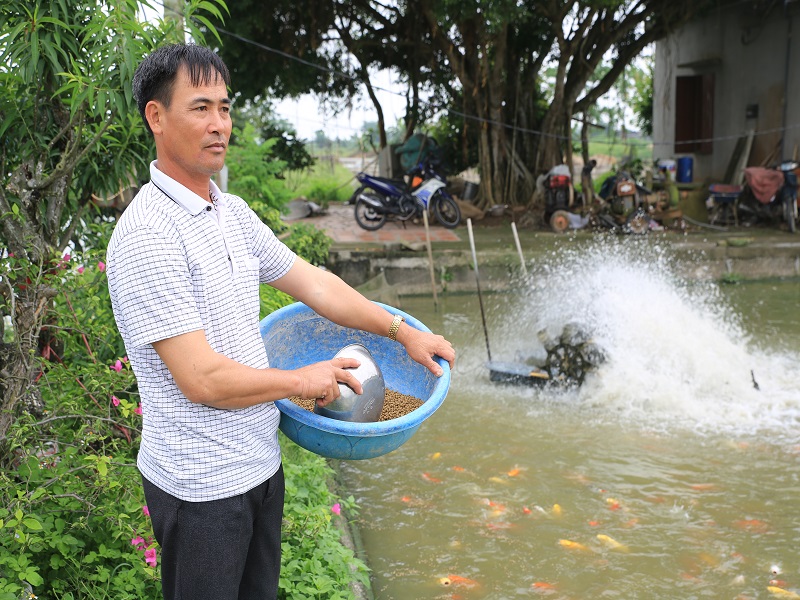 Mô hình trang trại nuôi cá của đảng viên Đặng Văn Ba, thôn 2, xã Mỹ Hưng (Mỹ Lộc) cho hiệu quả kinh tế cao.