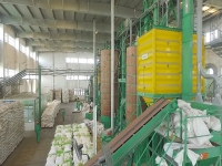 Thái Bình: Doanh nghiệp xuất khẩu gạo tìm cách vượt khó