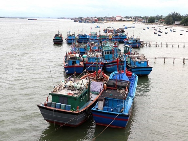 Kinh tế ven biển của tỉnh Nam Định bước đầu tận dụng được nguồn tài nguyên biển và đã phát triển khá đa dạng các lĩnh vực nông nghiệp, công nghiệp, du lịch.
