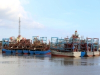 Nam Định: Các giải pháp cấp bách chống khai thác hải sản trái phép