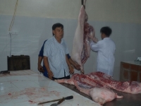 Thái Bình: Vì sao điểm giết mổ gia súc, gia cầm tập trung èo uột?