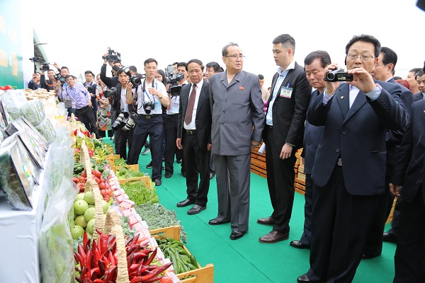 Đoàn đại biểu cấp cao nước Cộng hòa dân chủ nhân dân Triều Tiên