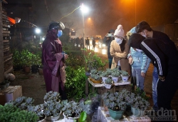 Đến chợ Viềng Nam Định đầu xuân “mua may, bán rủi”
