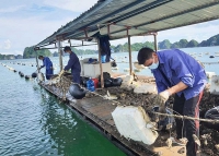 Quảng Ninh: Phát triển công nghệ trong nuôi trồng thuỷ sản