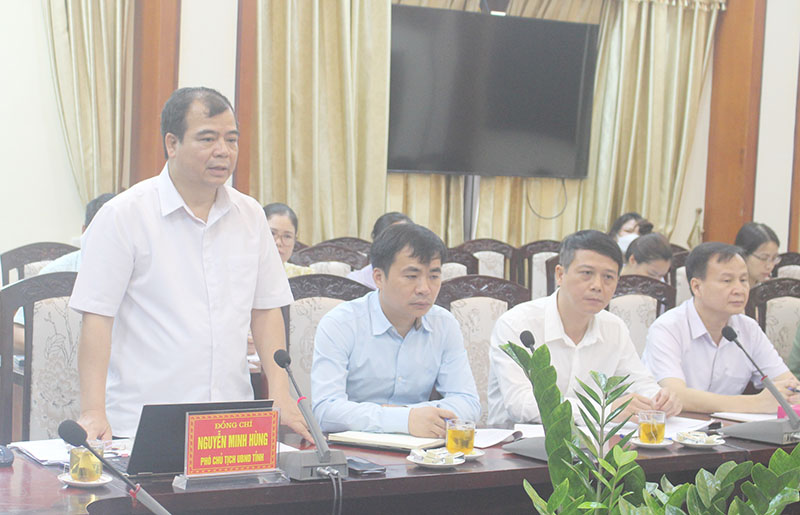 Phó Chủ tịch UBND tỉnh Nguyễn Minh Hùng phát biểu tại buổi làm việc