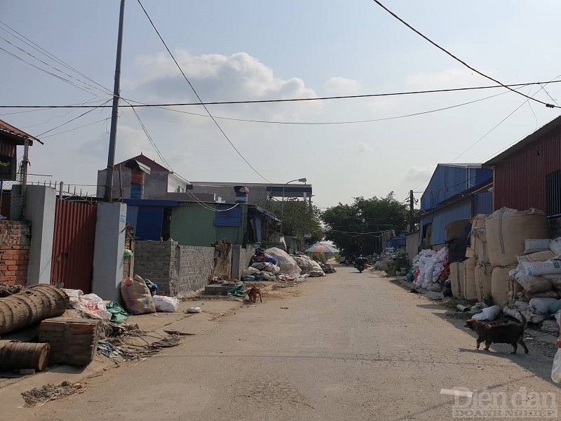 Đường làng trong phường Tràng Minh