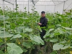 Hải Dương: Nông dân Việt Hoàng khởi nghiệp thành công nhờ nông sản sạch