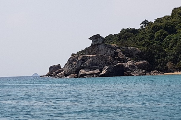 Ông Bình khẳng định: TP Đà Nẵng cũng như tỉnh Quảng Nam luôn luôn có quan điểm bảo vệ, bảo tồn rặn san hô quý hiếm tại khu vực biển Cù Lao Chàm, khai thác du lịch phải gắn với bảo tồn. 