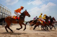 Đà Nẵng tìm đất cho doanh nghiệp Hong Kong đầu tư trường đua ngựa 200 triệu USD