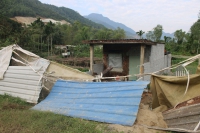 Đà Nẵng: Người dân ồ ạt xây nhà trái phép để nhận đền bù từ dự án trăm tỷ