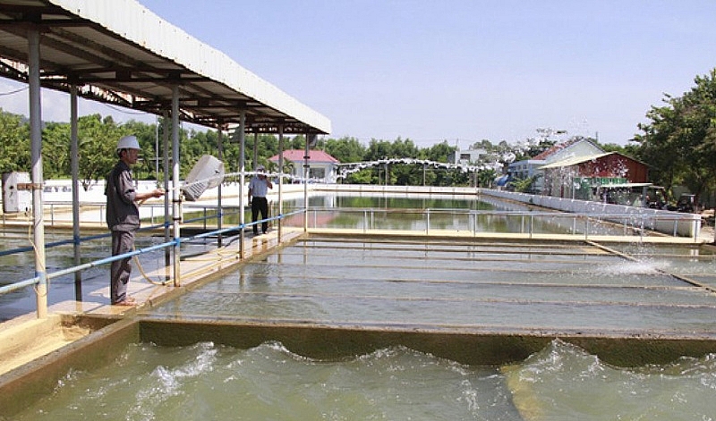 Chậm triển khai dự án nhà máy nước Hòa Liên khiến tình trạng thiếu nước sinh hoạt trầm trọng của người dân TP Đà Nẵng sẽ tiếp tục kéo dài trong nhiều năm.
