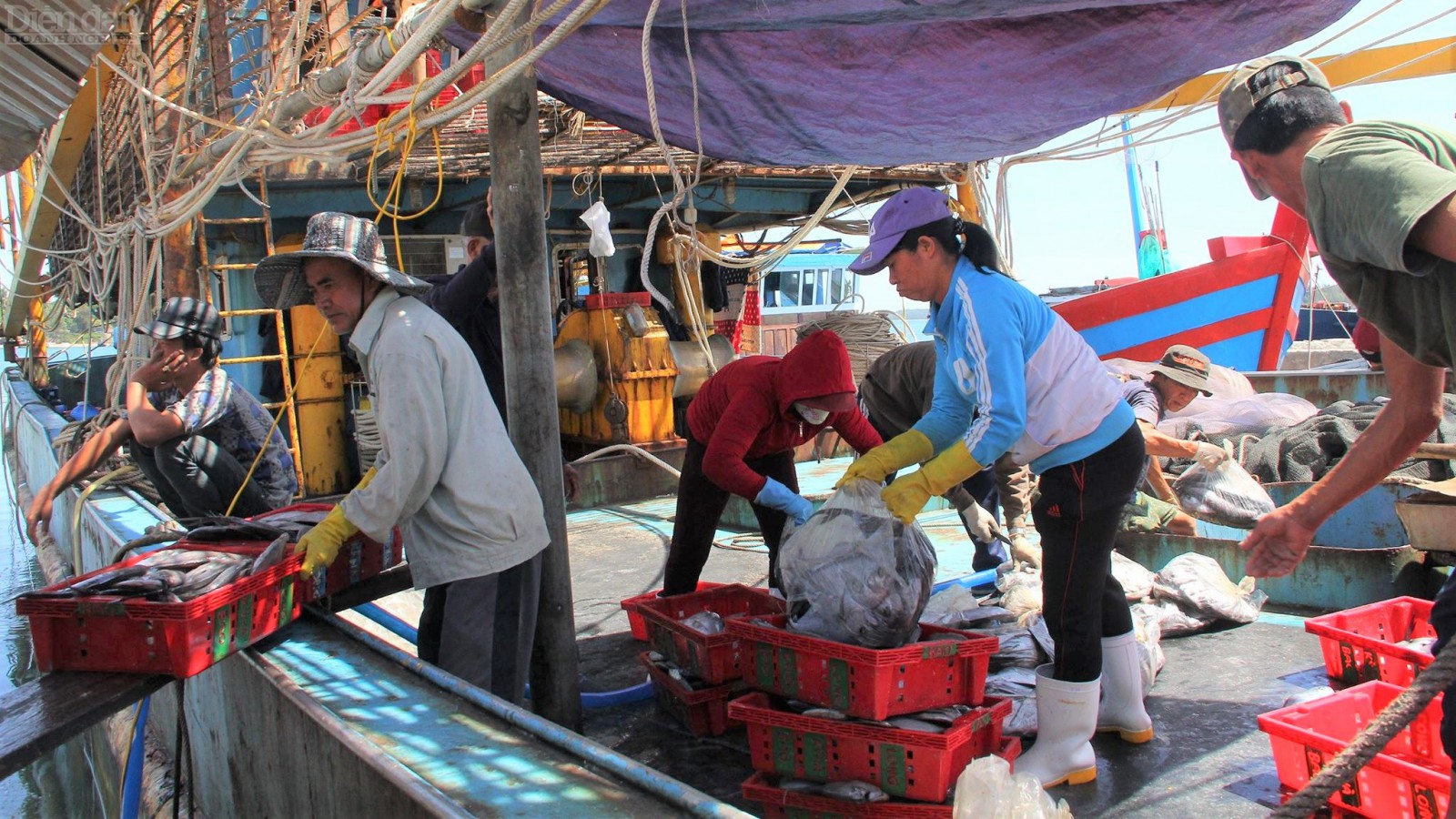 Cần sự vào cuộc của các bên để ngành thủy sản “gỡ mắc” thẻ vàng, thúc đẩy xuất khẩu thủy sản trong tương lai.