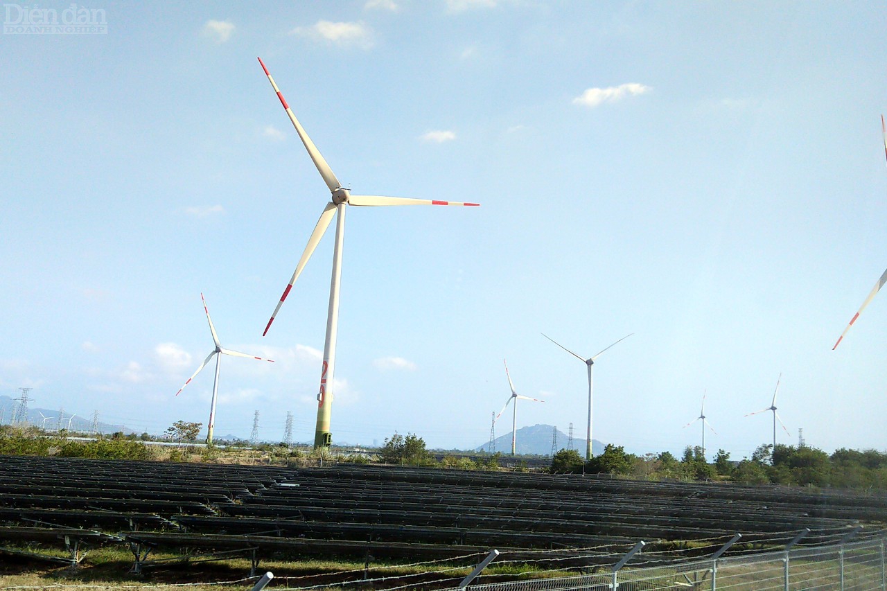 Trungnam Group đã đưa vào vận hành 02 dự án điện mặt trời tại huyện Thuận Bắc, tỉnh Ninh Thuận và tại huyện Duyên Hải, tỉnh Trà Vinh với tổng công suất trên 360MW