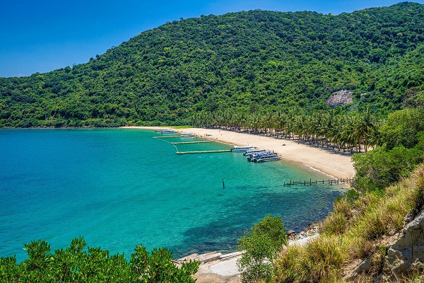 Vẻ đẹp trong xanh ở đảo Cù Lao Chàm là chìa khoá thu hút khách du lịch (Nguồn: Sưu tầm)