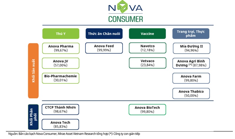 Hệ sinh thái của Nova Consumer