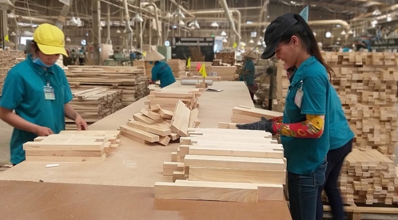 Trong mọi ngành hàng,p/doanh nghiệp Việt Nam cần chủ động nắm bắt, sản xuất và kinh doanh bài bản, phù hợp các yêu cầu, quy định mới của thị trường, tham gia hiệu quả, bền vững vào chuỗi cung ứng. (Ảnh: Doanh nghiệp gỗ xuất khẩu thích ứng với các quy định mới)
