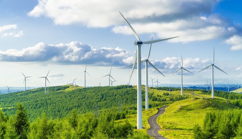 Trong năm 2022, Hàng loạt các doanh nghiệp năng lượng sạch lớn trên thế giới thông báo những khoản đầu tư của mình vào lĩnh vực điện gió tại Việt Nam, biến Việt Nam thành thị trường năng lượng tái tạo sôi động và hấp dẫn nhất Đông Nam Á
