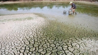 Rủi ro biến đổi khí hậu và tài sản mắc kẹt ở Việt Nam