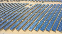 Dự án điện mặt trời của Bamboo Capital đi đầu về vận hành thương mại