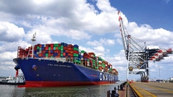 Động lực tăng giá cổ phiếu cảng biển