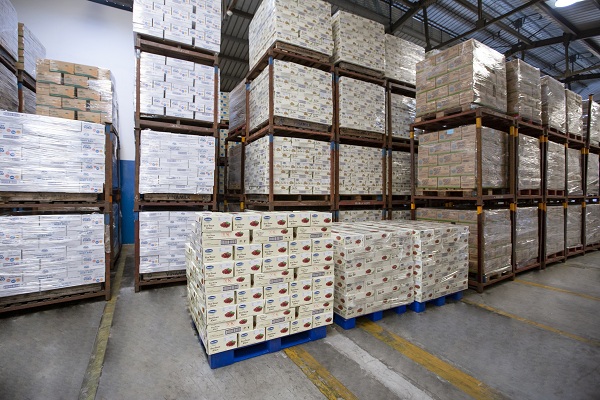 Các sản phẩm sữa hạt của Vinamilk chuẩn bị lên đường xuất khẩu phục vụ người tiêu dùng Hàn Quốc.
