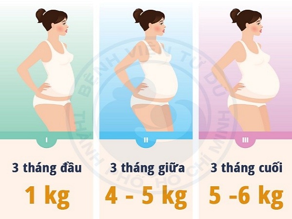 Với tình trạng dinh dưỡng bình thường (BMI: 18,5 – 24,9) mức tăng cân của người mẹ trong thai kỳ nên đạt là 10 – 12 kg.