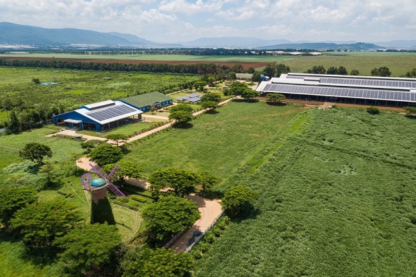 Năng lượng mặt trời đã được đưa vào sử dụng tại Trang trại bò sữa Organic Đà Lạt từ năm 2017 đến nay.