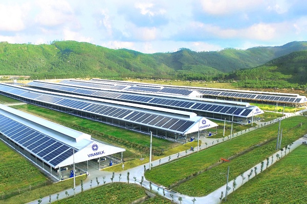 Hệ thống năng lượng mặt trời được lắp đặt tại các trang trại và nhà máy của Vinamilk.