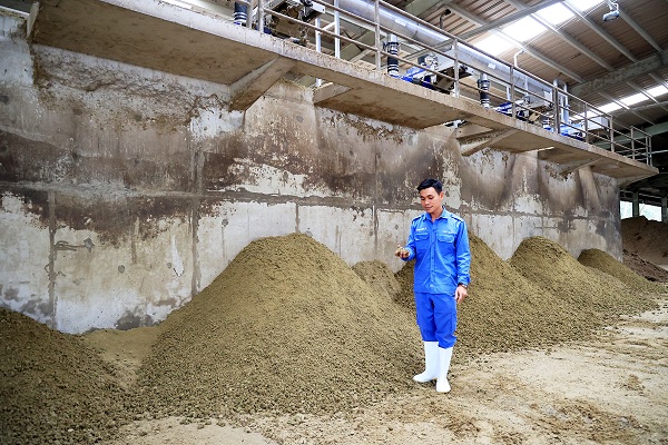 Chất thải đàn bò được xử lý thành phân bón cho đồng cỏ, hạn chế phát thải, mùi hôi, ruồi muỗi. (Nguồn: Hồng Đạt)