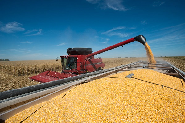 Giá nguyên liệu nông sản đang tăng cao bất thường trên thị trường thế giới.