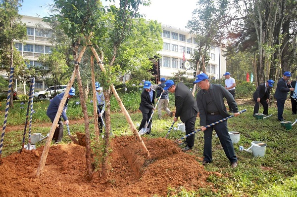 Novaland chung tay cùng Lâm Đồng thực hiện mục tiêu trồng 50 triệu cây xanh.