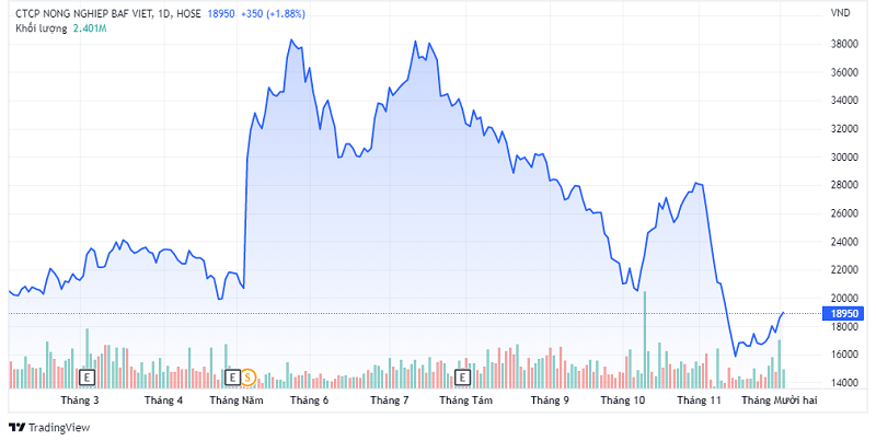 Trên thị trường, cổ phiếu BAF đã giảm hơn 50% thị giá