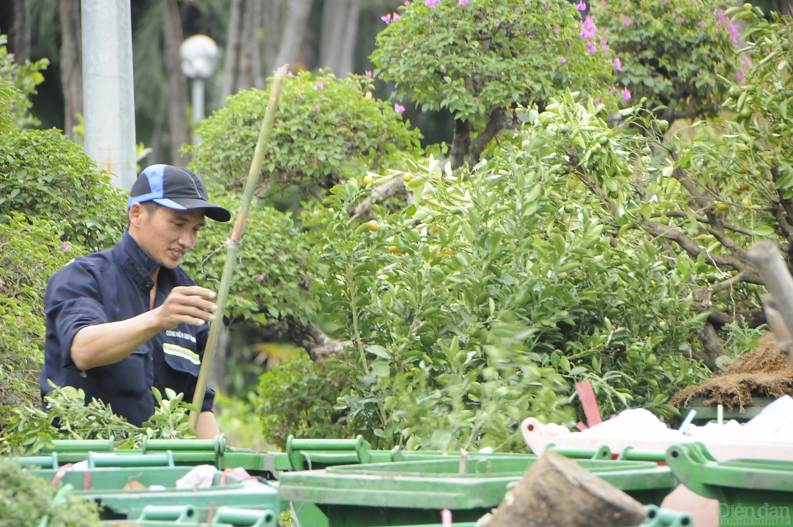 15 giờ 30, công nhân vệ sinh tại CV Gia Định đã dọn dẹp những chậu hoa tiểu thương bỏ lại.