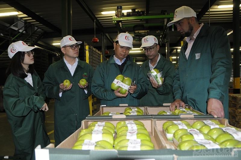 Đoàn công tác tham quan và làm việc với nhà máy chế biến táo xuất khẩu của Công ty 